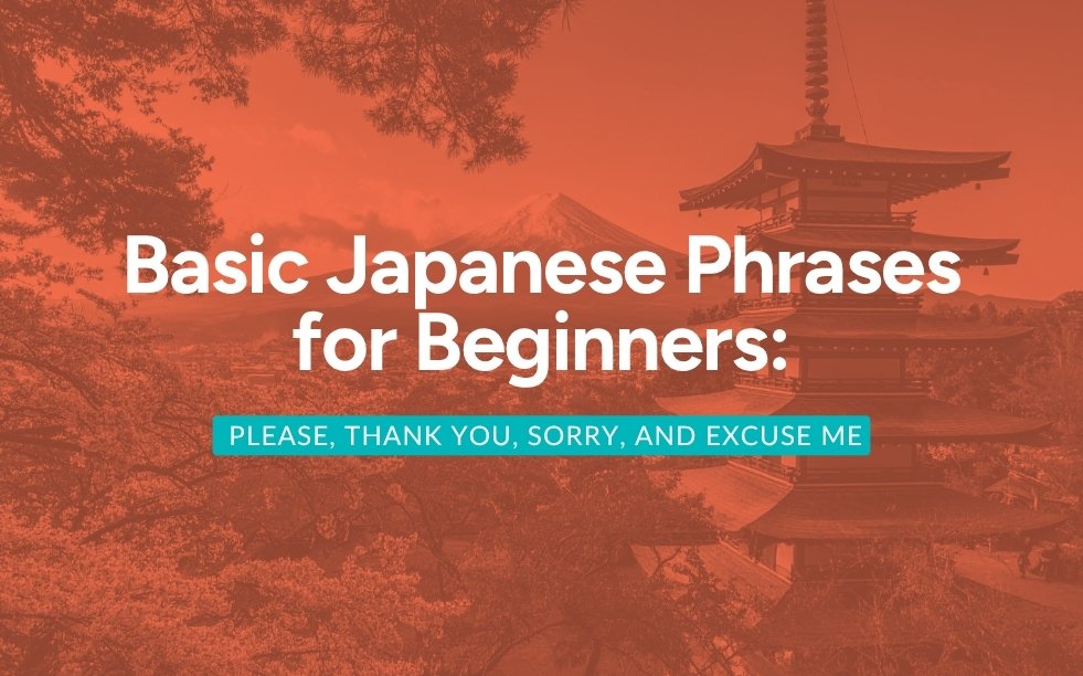 Basic Japanese Phrases for Beginners: Please, Thank You, Sorry, and Excuse Me